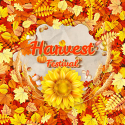 Similar image 11936244