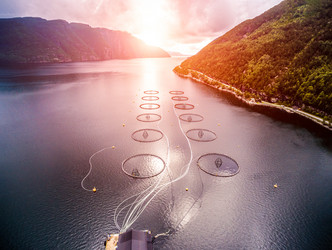 Similar image 11933466