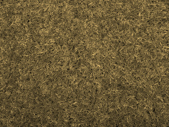 Similar image 11943548