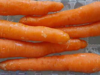 Similar image 11944033