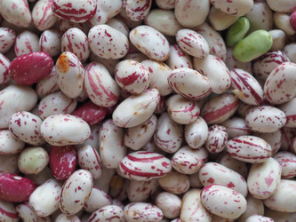 Similar image 11943595