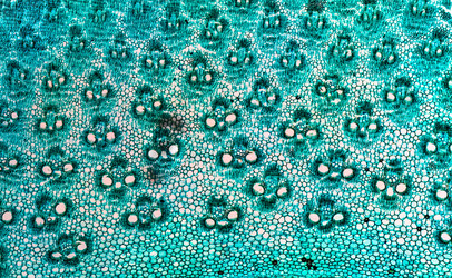 Similar image 11943624