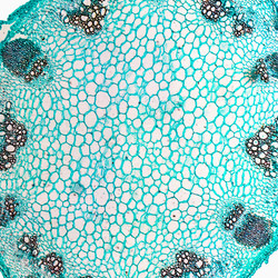 Similar image 11943787