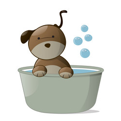 Similar image 11926398