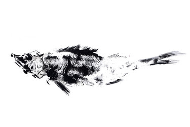 Similar image 11931941