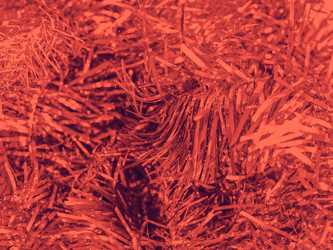 Similar image 11943582