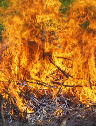 Similar image 11943602