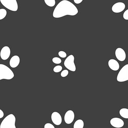 Similar image 11944295