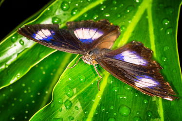 Similar image 11930011