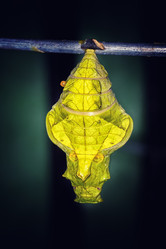 Similar image 11930012