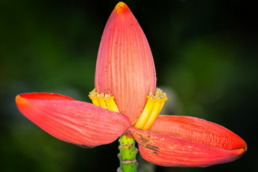 Similar image 11930026