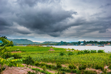 Similar image 11954399