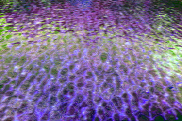 Similar image 11927457