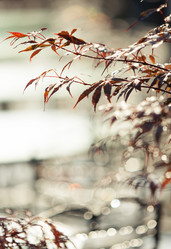 Similar image 11926887