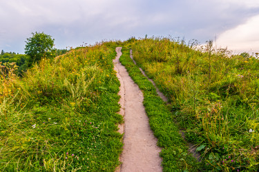 Similar image 11953932