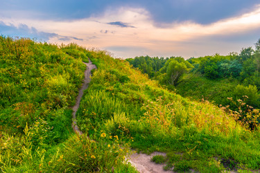 Similar image 11954015