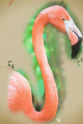 Similar image 11954789