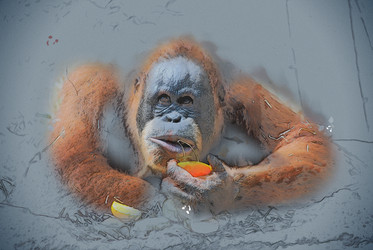 Similar image 11955054