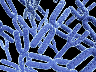 Similar image 11929399