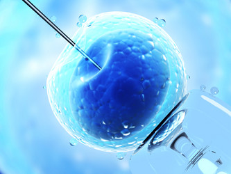 Similar image 11929402