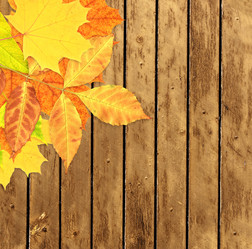 Similar image 11929432