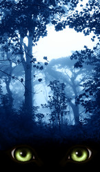 Similar image 11929450