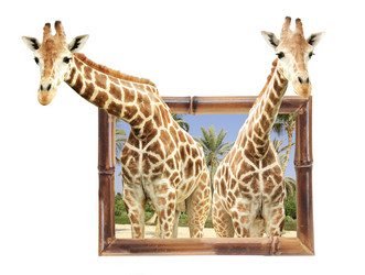 Similar image 11929453