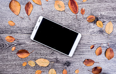 Similar image 11955465