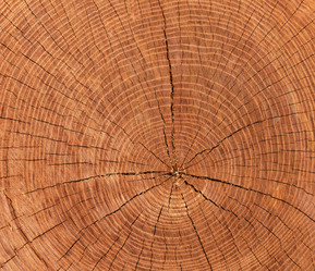 Similar image 11957352