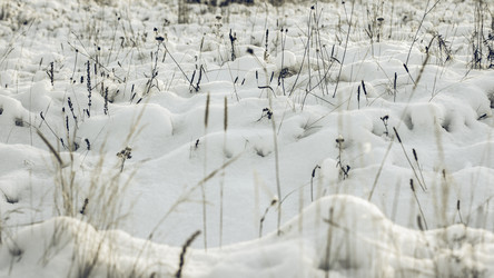 Similar image 11950619