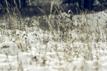 Similar image 11950622