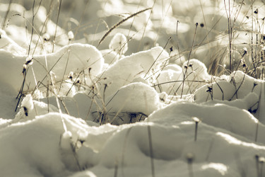 Similar image 11950635