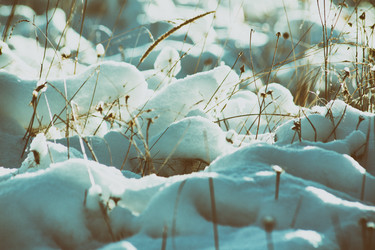 Similar image 11950636