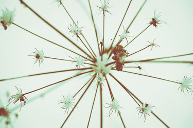 Similar image 11950637