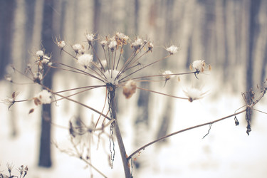 Similar image 11950639