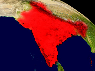 Similar image 11928576