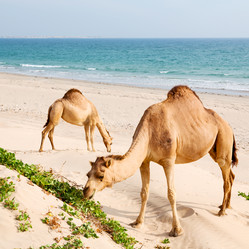 Similar image 11927463