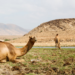 Similar image 11927494