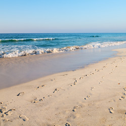 Similar image 11927503