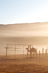 Similar image 11927504