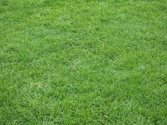 Similar image 11943811