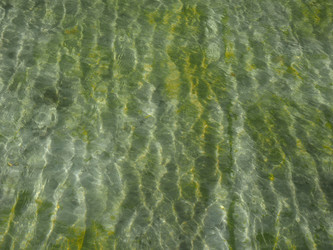 Similar image 11943754