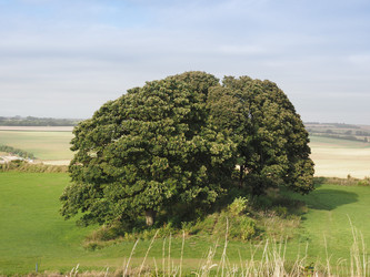 Similar image 11944034