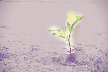 Similar image 11954767