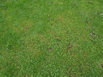 Similar image 11943392