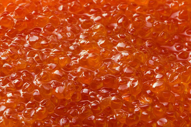 Similar image 11930036