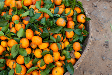 Similar image 11926785