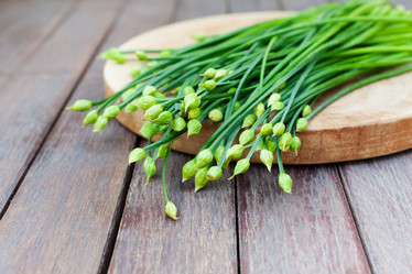 Similar image 11926786