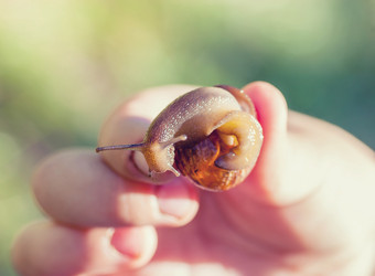 Similar image 11925475