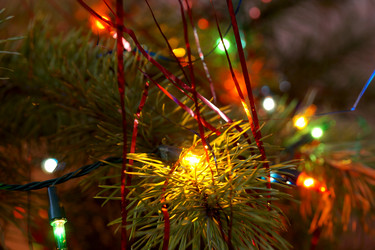 Similar image 11925100